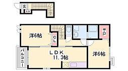 ステラテレーノ