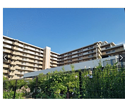 物件画像 グランスイート香里園