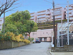 物件画像 コスモ綱島台3号館