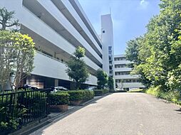 物件画像 ウインザーハイム宮前平第一