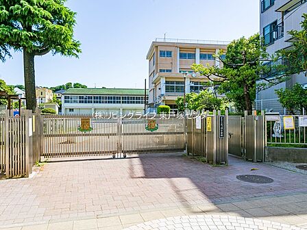 横浜市立三ツ沢小学校 810m