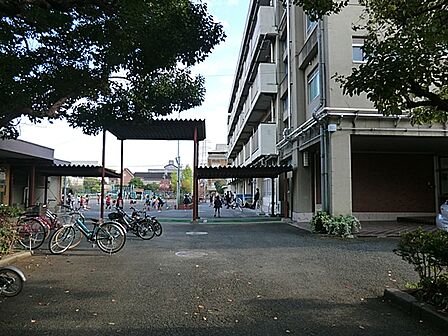 横浜市立大豆戸小学校 240m?
