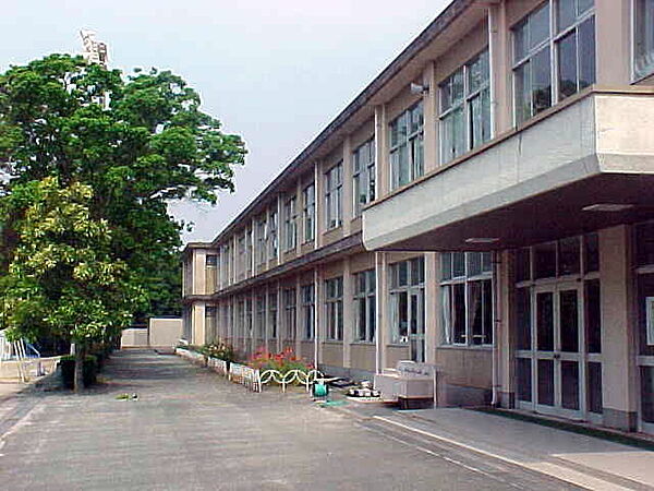 静岡県浜松市中央区富塚町(賃貸マンション1LDK・2階・46.53㎡)の写真 その27