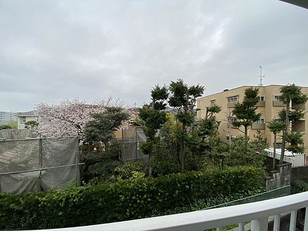 静岡県浜松市中央区布橋1丁目(賃貸マンション1K・4階・25.20㎡)の写真 その19