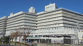 静岡県浜松市中央区蜆塚3丁目（賃貸マンション1LDK・1階・45.90㎡） その28