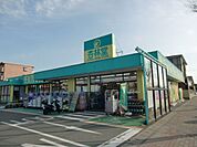 杏林堂スーパードラッグストア向宿店 1138m