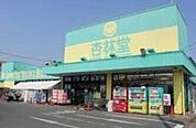 杏林堂スーパードラッグストア上西店 887m