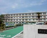 浜松市立新津小学校 563m