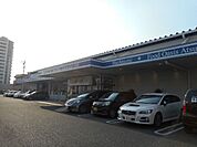 ビオ・あつみエピスリー浜松 457m