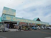 杏林堂薬局芳川店 1214m