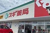 スギ薬局浜松海老塚店 572m