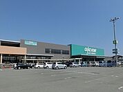 カインズ雄踏店 2600m