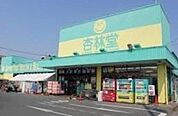 杏林堂スーパードラッグストア上西店 655m