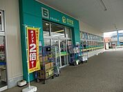 杏林堂薬局笠井店 1900m