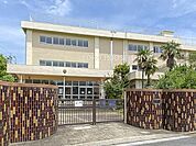 葛飾区立中之台小学校 261m