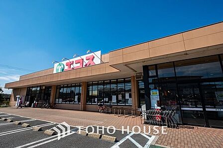 エコス 市川島尻店 1000m
