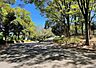 周辺：都立中川公園 310m