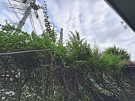 「眺望」穏やかな街並みを一望しながら、爽やかな風と柔らかく降り注ぐ陽光を感じて頂けます。