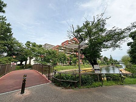 横十間川親水公園 870m