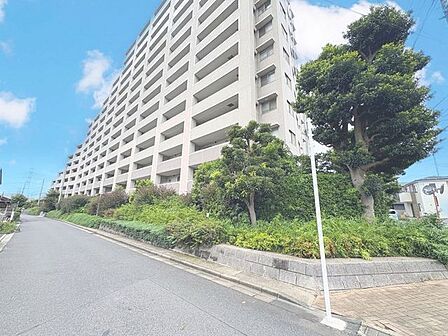 「外観」