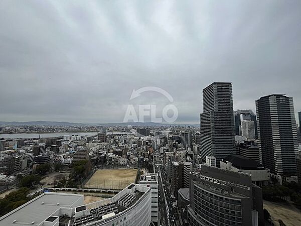 シエリアタワー大阪福島 ｜大阪府大阪市福島区福島7丁目(賃貸マンション2LDK・28階・62.79㎡)の写真 その24