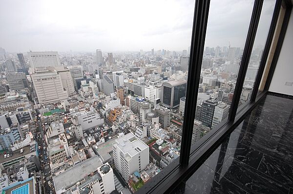 アルグラッド・ザ・タワー心斎橋 3601｜大阪府大阪市中央区東心斎橋1丁目(賃貸マンション2LDK・36階・199.13㎡)の写真 その15