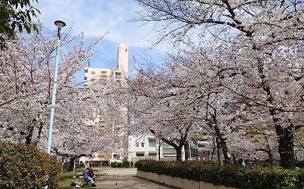 フローライト南森町 903｜大阪府大阪市北区東天満2丁目(賃貸マンション1LDK・9階・36.45㎡)の写真 その24