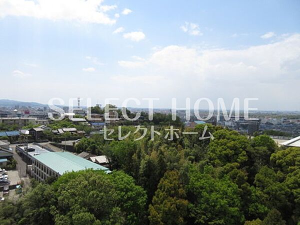 フェリカ―サ明大寺 1006｜愛知県岡崎市明大寺町字畔土(賃貸マンション3LDK・10階・86.68㎡)の写真 その16