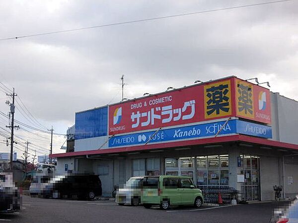 画像17:サンドラッグ 洞町店まで650m