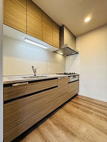 キッチン ＭＪＲ熊本ザ・タワー（ペット可マンション） 3階/-