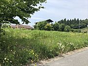 現地写真