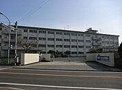 吉田中学校(100m)