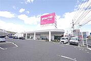 ゆめマート曽根店(600m)