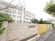 新津中学校(880m)