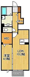 セジュールKD 1LDKの間取図画像