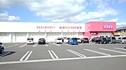 その他「コスモスまで100m」