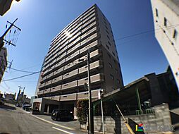 シーザーズパレス不知火
