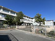 玉名中学校 