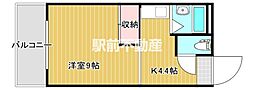 シーザーズ・パレス不知火 1Kの間取図画像