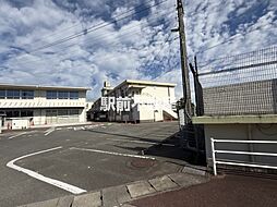 白石ハイツ 1階/2