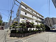南向きマンションタイプ