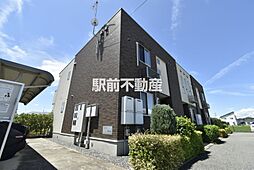 ピュアライヴVII　C