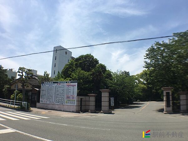 画像13:柳川高等学校 