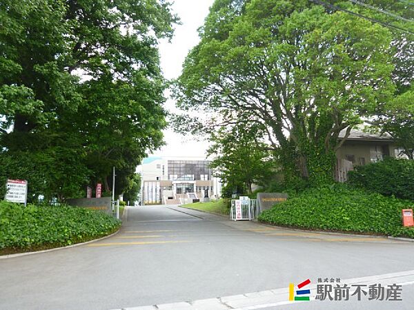 画像13:西日本短期大学付属高校 