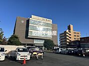 柳病院 