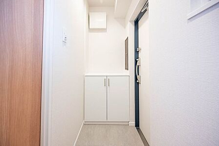 玄関の両側には下足入れと収納が設置されており、靴以外にも日用品もストックするのに役立ちます。