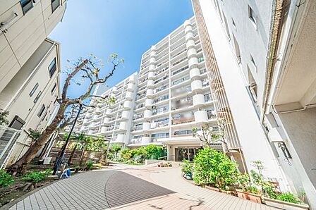 総戸数241戸の大規模マンションです。