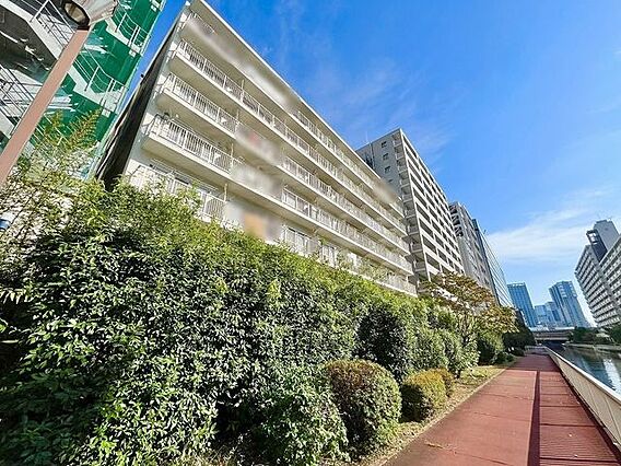 マンション西側...