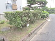 植栽