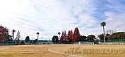 中の島公園 徒歩8分。 610m